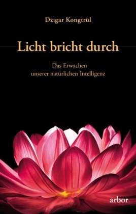 Licht bricht durch